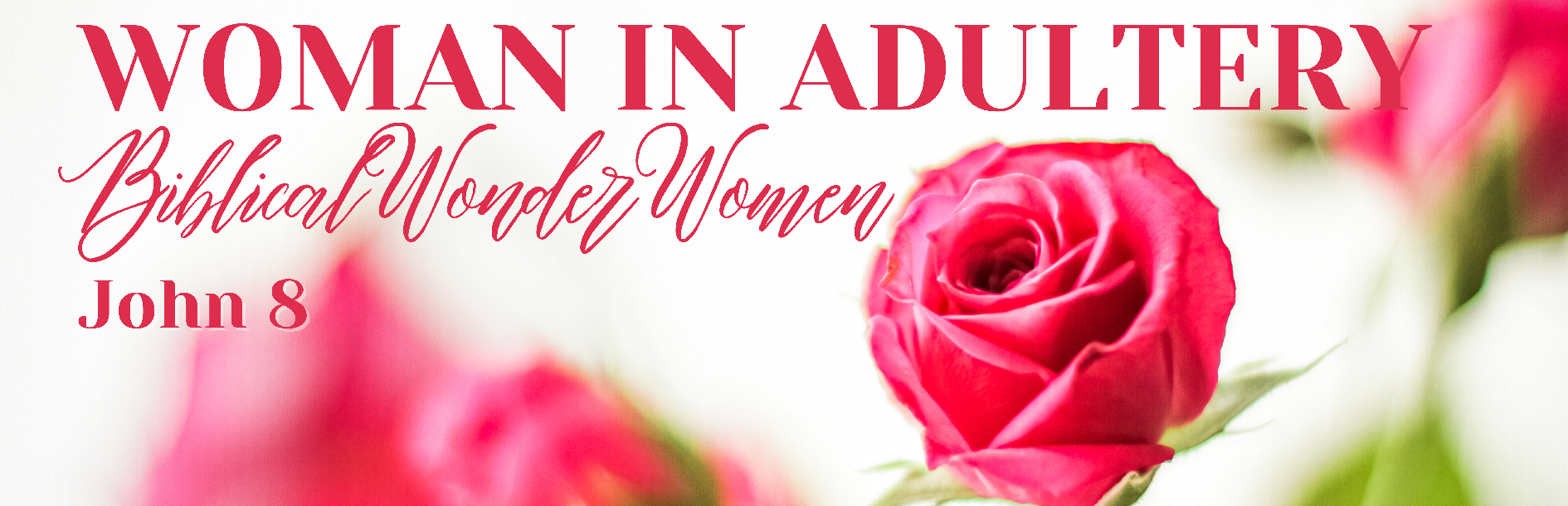 Biblical Wonder Woman: Woman Taken In Adultery